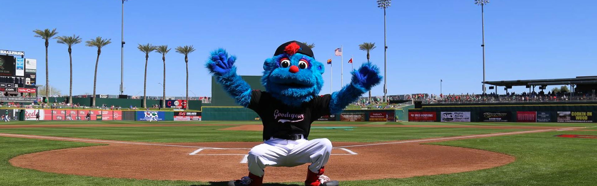 Our Teams - Cleveland Guardians and Cincinnati Reds - Goodyear Ballpark